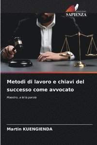 bokomslag Metodi di lavoro e chiavi del successo come avvocato