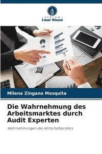 bokomslag Die Wahrnehmung des Arbeitsmarktes durch Audit Experten