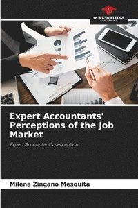 bokomslag Expert Accountants' Perceptions of the Job Market