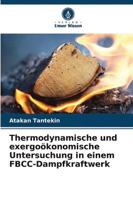 Thermodynamische und exergokonomische Untersuchung in einem FBCC-Dampfkraftwerk 1