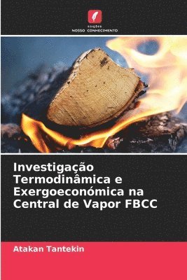 Investigao Termodinmica e Exergoeconmica na Central de Vapor FBCC 1