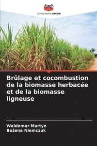 bokomslag Brlage et cocombustion de la biomasse herbace et de la biomasse ligneuse