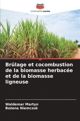 Brlage et cocombustion de la biomasse herbace et de la biomasse ligneuse 1