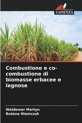 bokomslag Combustione e co-combustione di biomasse erbacee e legnose