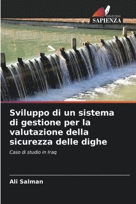 bokomslag Sviluppo di un sistema di gestione per la valutazione della sicurezza delle dighe