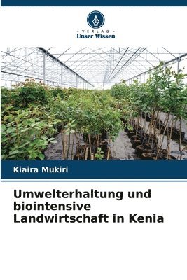 Umwelterhaltung und biointensive Landwirtschaft in Kenia 1