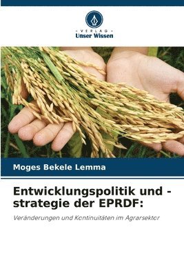 bokomslag Entwicklungspolitik und -strategie der EPRDF