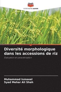 bokomslag Diversit morphologique dans les accessions de riz