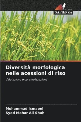 Diversit morfologica nelle acessioni di riso 1