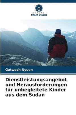 Dienstleistungsangebot und Herausforderungen fr unbegleitete Kinder aus dem Sudan 1