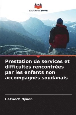 Prestation de services et difficults rencontres par les enfants non accompagns soudanais 1