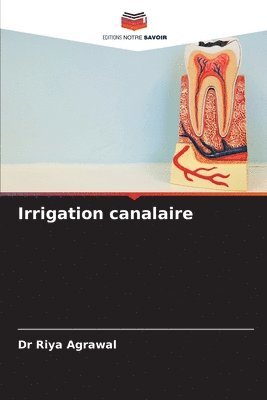 Irrigation canalaire 1