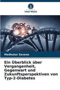 bokomslag Ein berblick ber Vergangenheit, Gegenwart und Zukunftsperspektiven von Typ-2-Diabetes