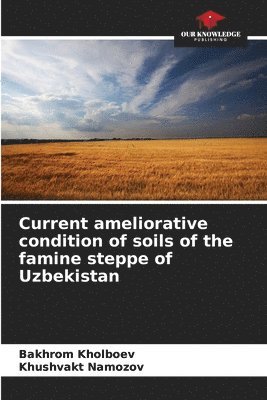 bokomslag Current ameliorative condition of soils of the famine steppe of Uzbekistan