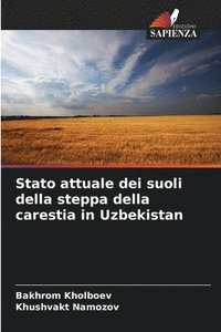 bokomslag Stato attuale dei suoli della steppa della carestia in Uzbekistan