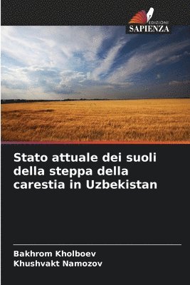 Stato attuale dei suoli della steppa della carestia in Uzbekistan 1