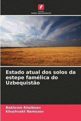 bokomslag Estado atual dos solos da estepe famlica do Uzbequisto