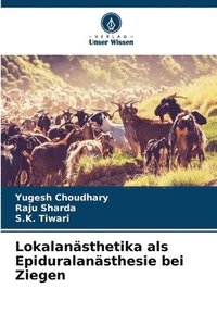 bokomslag Lokalansthetika als Epiduralansthesie bei Ziegen