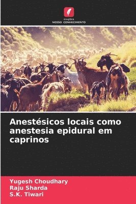 bokomslag Anestsicos locais como anestesia epidural em caprinos