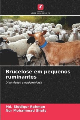 bokomslag Brucelose em pequenos ruminantes