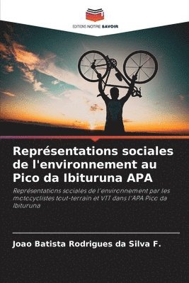 bokomslag Reprsentations sociales de l'environnement au Pico da Ibituruna APA