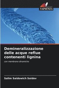 bokomslag Demineralizzazione delle acque reflue contenenti lignina