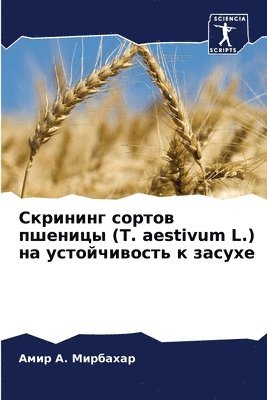 bokomslag &#1057;&#1082;&#1088;&#1080;&#1085;&#1080;&#1085;&#1075; &#1089;&#1086;&#1088;&#1090;&#1086;&#1074; &#1087;&#1096;&#1077;&#1085;&#1080;&#1094;&#1099; (T. aestivum L.) &#1085;&#1072;