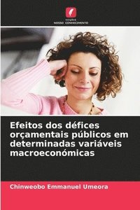 bokomslag Efeitos dos dfices oramentais pblicos em determinadas variveis macroeconmicas