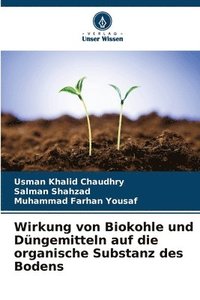 bokomslag Wirkung von Biokohle und Dngemitteln auf die organische Substanz des Bodens