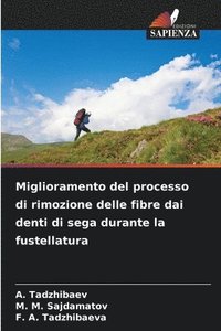 bokomslag Miglioramento del processo di rimozione delle fibre dai denti di sega durante la fustellatura