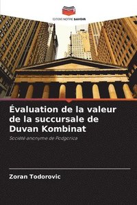 bokomslag valuation de la valeur de la succursale de Duvan Kombinat