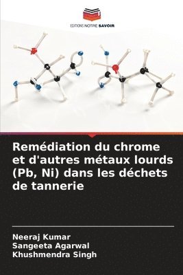 bokomslag Remdiation du chrome et d'autres mtaux lourds (Pb, Ni) dans les dchets de tannerie