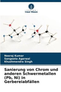 bokomslag Sanierung von Chrom und anderen Schwermetallen (Pb, Ni) in Gerbereiabfllen