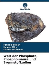 bokomslag Welt der Phosphate, Phosphorsäure und Brennstoffzellen
