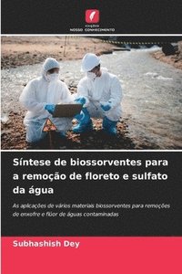 bokomslag Sntese de biossorventes para a remoo de floreto e sulfato da gua