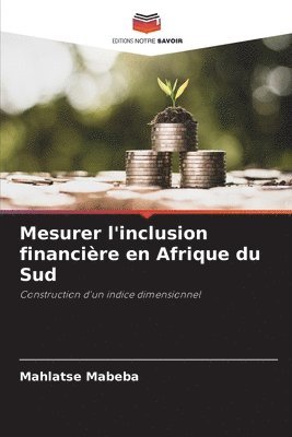 bokomslag Mesurer l'inclusion financire en Afrique du Sud