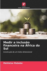 bokomslag Medir a incluso financeira na frica do Sul