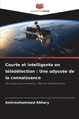 bokomslag Courte et intelligente en tldtection