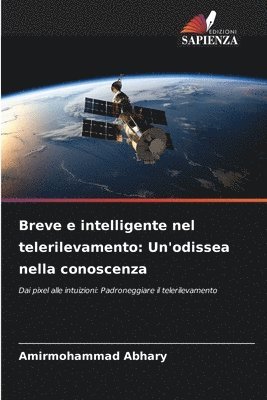 bokomslag Breve e intelligente nel telerilevamento