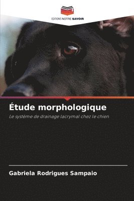 tude morphologique 1