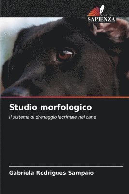 Studio morfologico 1