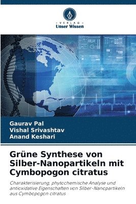 bokomslag Grne Synthese von Silber-Nanopartikeln mit Cymbopogon citratus