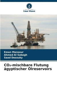 bokomslag CO&#8322;-mischbare Flutung ägyptischer Ölreservoirs