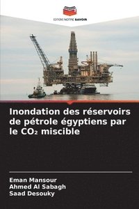 bokomslag Inondation des rservoirs de ptrole gyptiens par le CO&#8322; miscible