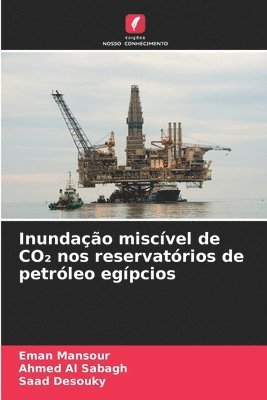 bokomslag Inundao miscvel de CO&#8322; nos reservatrios de petrleo egpcios