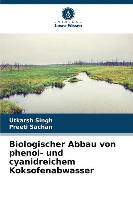 bokomslag Biologischer Abbau von phenol- und cyanidreichem Koksofenabwasser