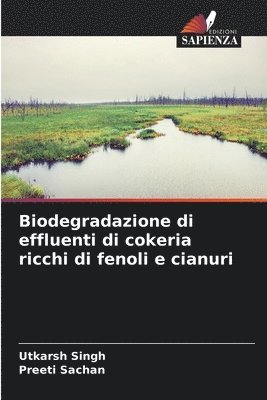 Biodegradazione di effluenti di cokeria ricchi di fenoli e cianuri 1