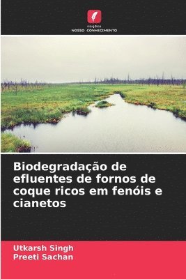 Biodegradao de efluentes de fornos de coque ricos em fenis e cianetos 1