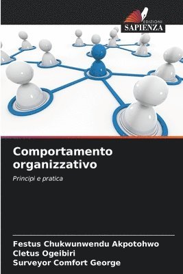 bokomslag Comportamento organizzativo