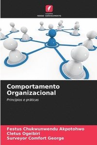 bokomslag Comportamento Organizacional